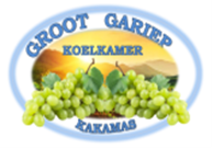 logo1